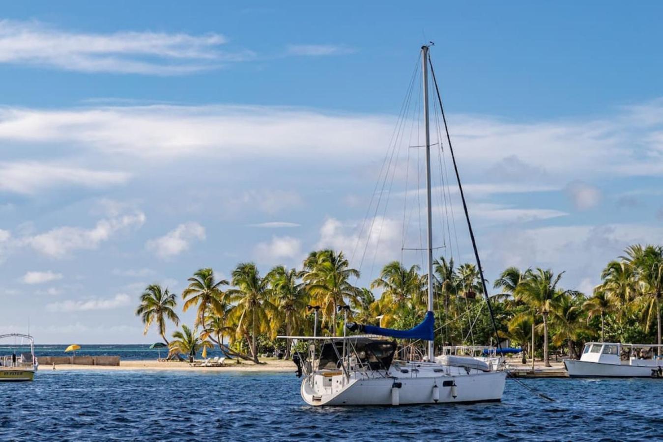 The Royal Wait - An Elegant Retreat Lejlighed Christiansted Eksteriør billede